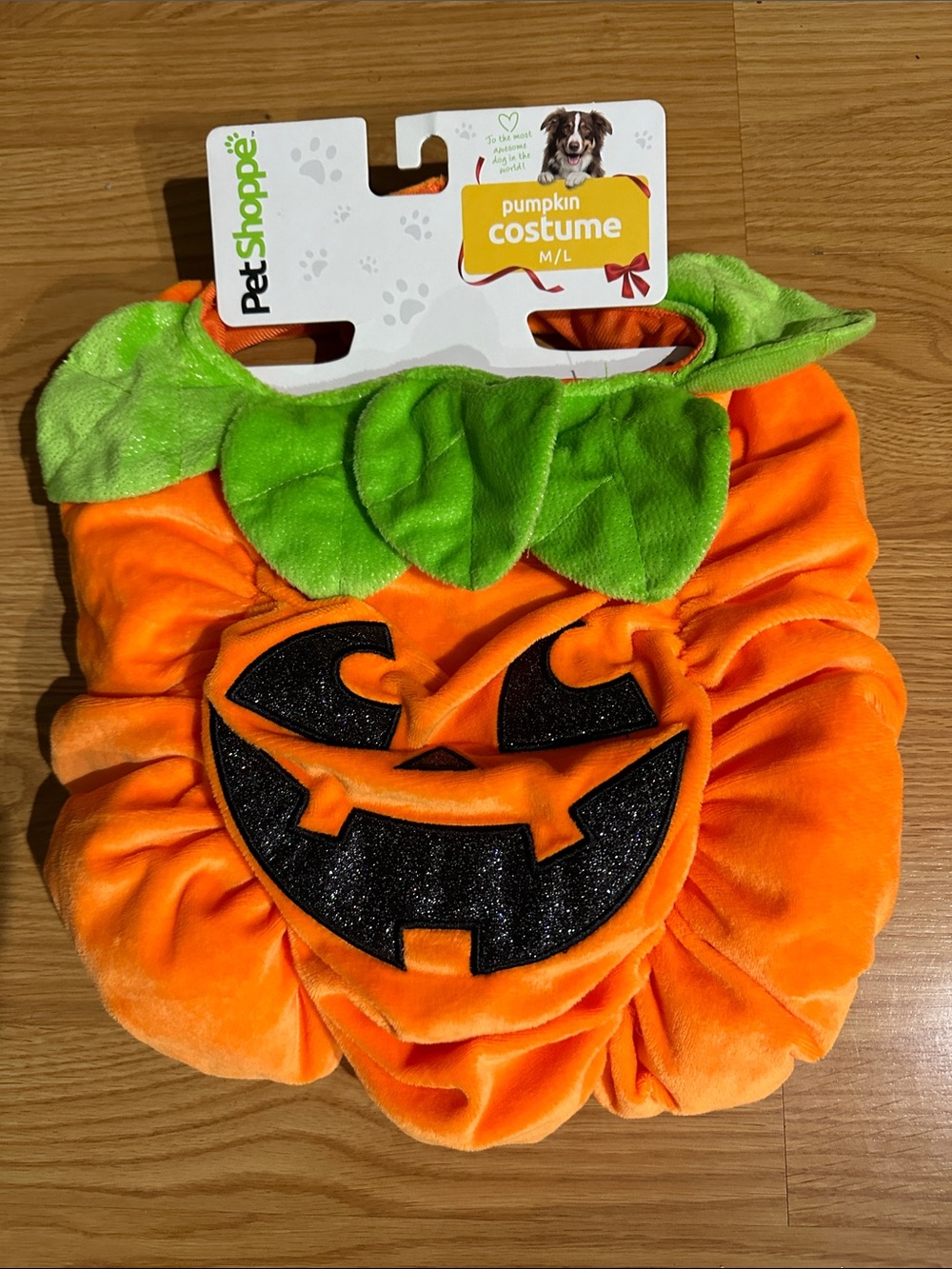 Pumpkin dog costume